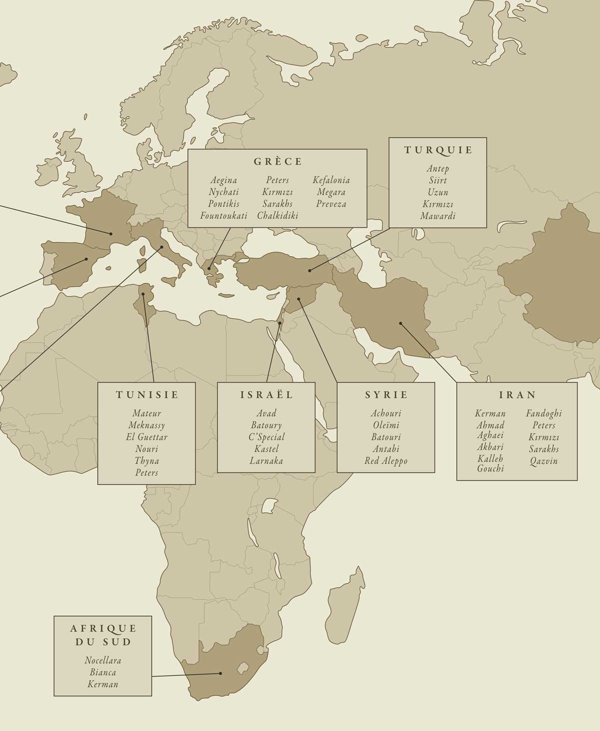 morceau carte monde variétés pistaches