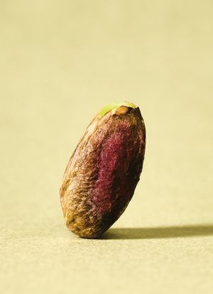 Pistache d'égide variété Aegina