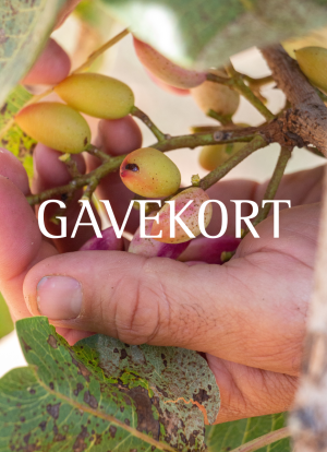 Gavekort fra La Maison de la Pistache